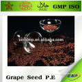 dietary supplement grape seed extract